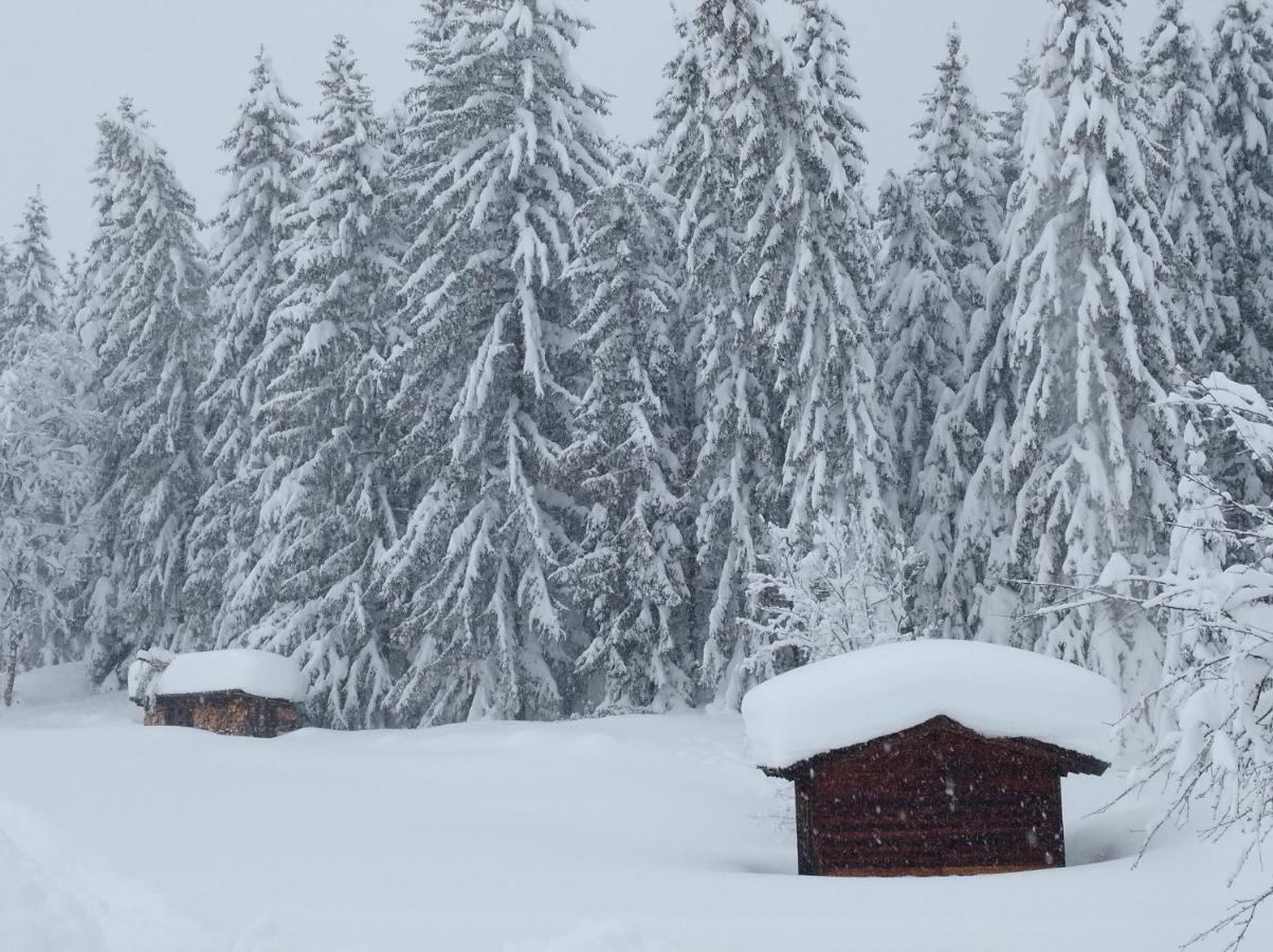Ferienwohnung Spulhof Abtenau Exterior foto